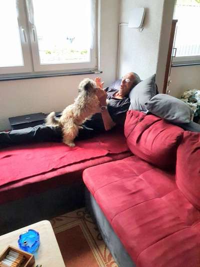 Bild wo euer Hund quatsch macht-Beitrag-Bild