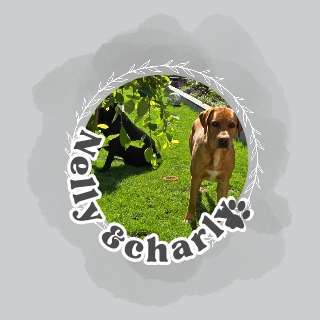 Medizinische Dienstleistungen-THP Gutjahr-Bild