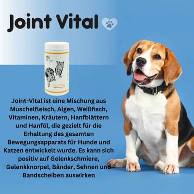 Giftköder-JOINT VITAL-Bild