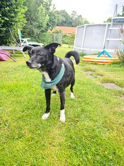 Der Gewichts-Thread-Beitrag-Bild