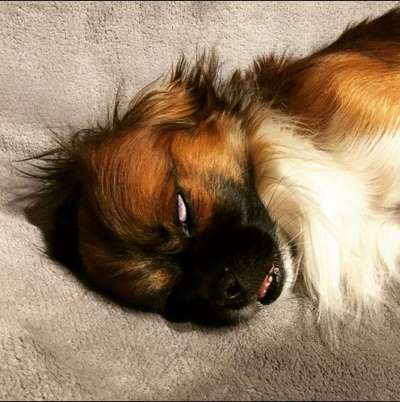 Die unbequemsten und lustigsten Schlafpositionen-Beitrag-Bild