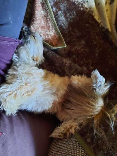 Die unbequemsten und lustigsten Schlafpositionen-Beitrag-Bild