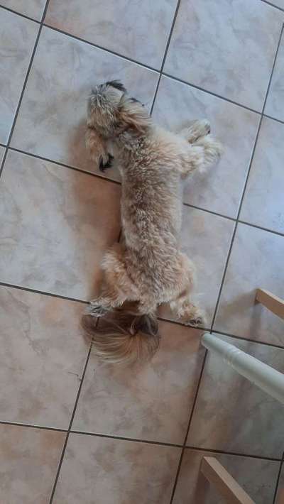 Die unbequemsten und lustigsten Schlafpositionen-Beitrag-Bild