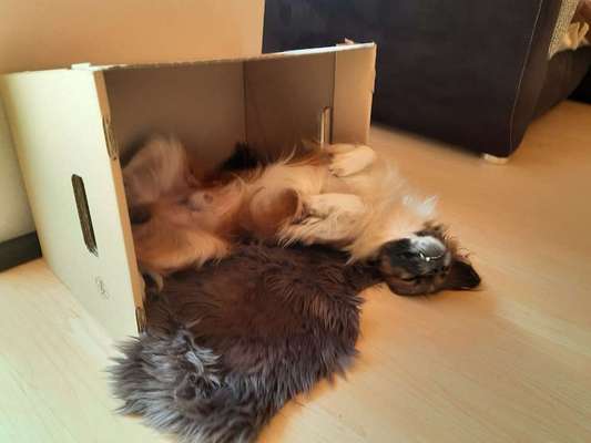 Die unbequemsten und lustigsten Schlafpositionen-Beitrag-Bild