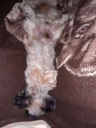 Die unbequemsten und lustigsten Schlafpositionen-Beitrag-Bild