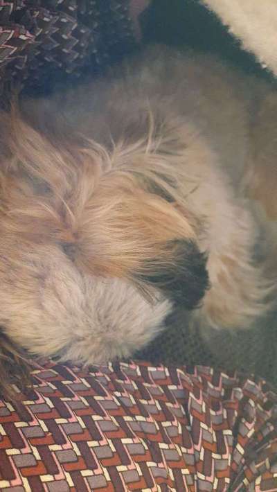 Die unbequemsten und lustigsten Schlafpositionen-Beitrag-Bild