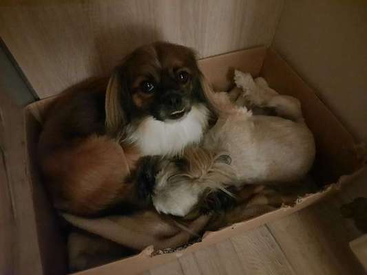 Die unbequemsten und lustigsten Schlafpositionen-Beitrag-Bild