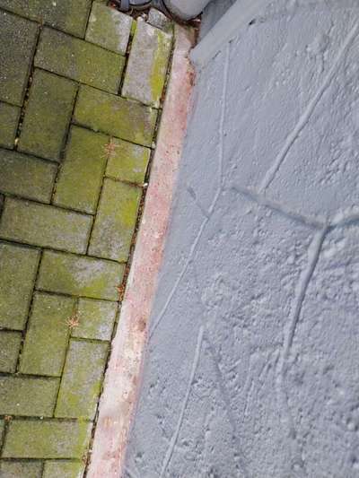 Giftköder-Ausgelegtes Pulver-Bild