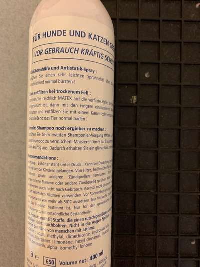 Alles rund um den Pudel-Beitrag-Bild