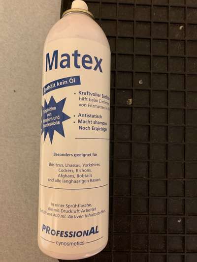 Alles rund um den Pudel-Beitrag-Bild