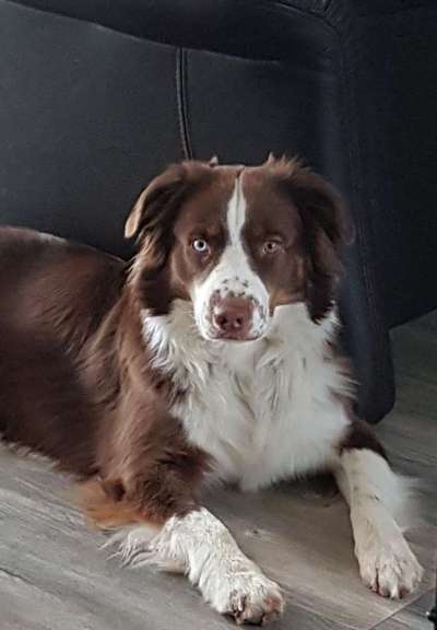 Fotochallange Nr. 57     PORTRÄT.   Beendet!!!!!!!!-Beitrag-Bild