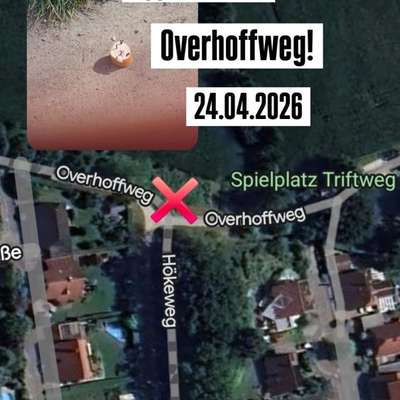 Giftköder-Giftköder-Bild