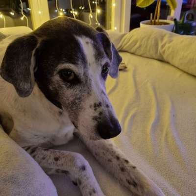 Fotochallange Nr. 57     PORTRÄT.   Beendet!!!!!!!!-Beitrag-Bild