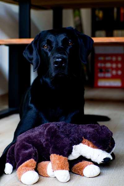 Lieblingsbild-Beitrag-Bild