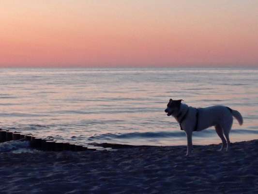 Eure Strandbilder :)-Beitrag-Bild