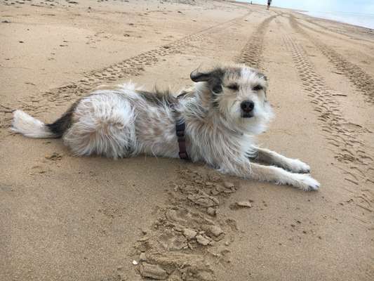 Eure Strandbilder :)-Beitrag-Bild