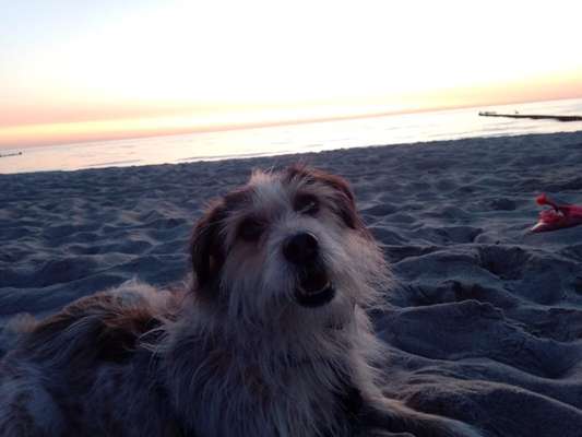 Eure Strandbilder :)-Beitrag-Bild