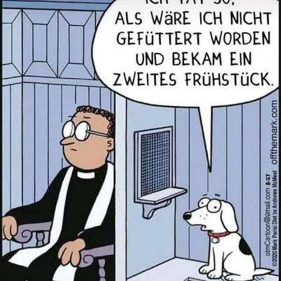 Hundetreffen-Welpenspiel- und Gassirunde-Bild