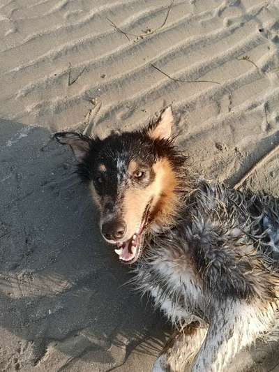 Eure Strandbilder :)-Beitrag-Bild