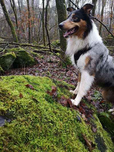 Lieblingsbild :D-Beitrag-Bild