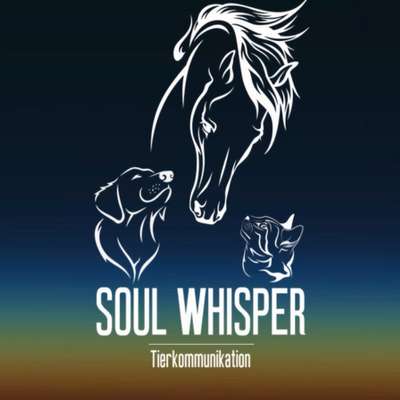 Weitere Unternehmen-SOUL-WHISPER-Bild