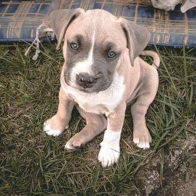 Foto Challenge 3-Beitrag-Bild