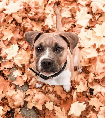 Foto Challenge 2 BEENDET 
Bitte aktuelle Challenge nutzen-Beitrag-Bild