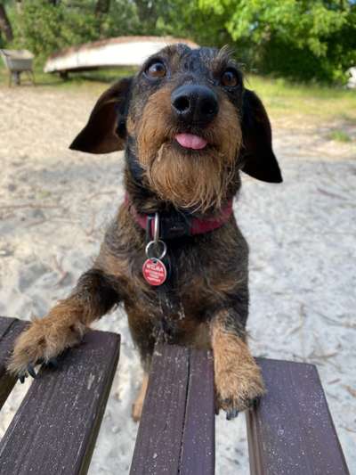 Das beste grinsefoto-Beitrag-Bild