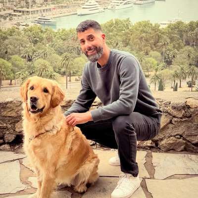 Hundetreffen-Park-Bild