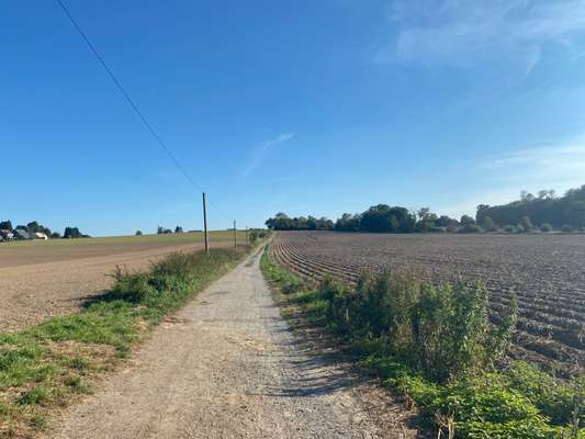 Hundeauslaufgebiet-Feldweg Sölderholz-Bild