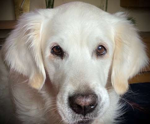 Fotochallange Nr. 57     PORTRÄT.   Beendet!!!!!!!!-Beitrag-Bild