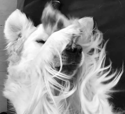 Foto-Challenge 76: Foto in Schwarz-Weiss-Beitrag-Bild