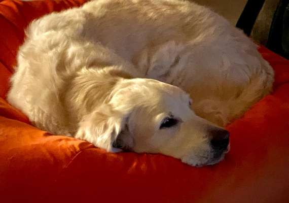 Schlafzeit!💖-Beitrag-Bild