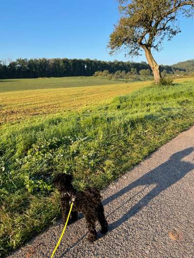 Fotochallange Nr. 46

Schattenspiele BEENDET!!!!!-Beitrag-Bild