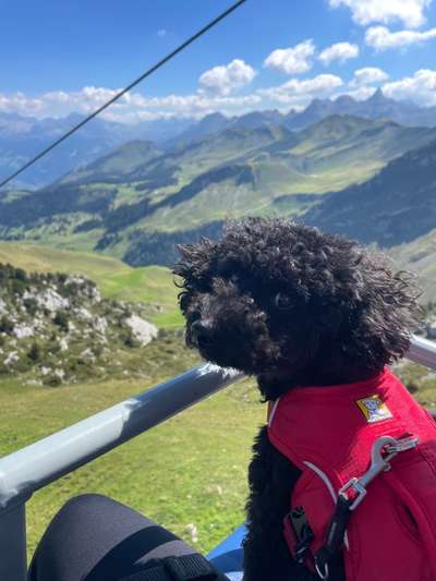 Fotochallenge 101:
On Tour-Beitrag-Bild