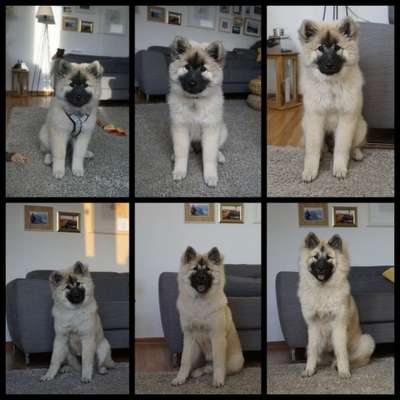 Sie werden so schnell groß!-Beitrag-Bild