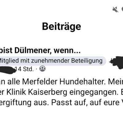 Giftköder-Mögliche Vergiftung durch Giftköder-Bild