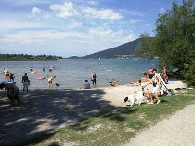 Hundeauslaufgebiet-Hundestrand Rottach-Eggern-Bild