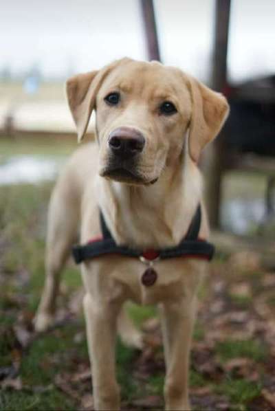 Fotochallange Nr. 57     PORTRÄT.   Beendet!!!!!!!!-Beitrag-Bild