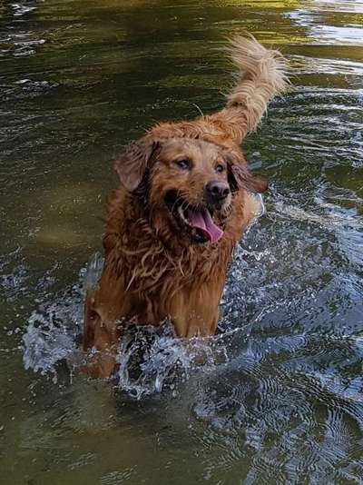 Fotowettbewerb: Wasserratte-Beitrag-Bild