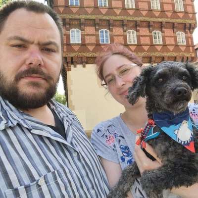 Jenny's Profilbild