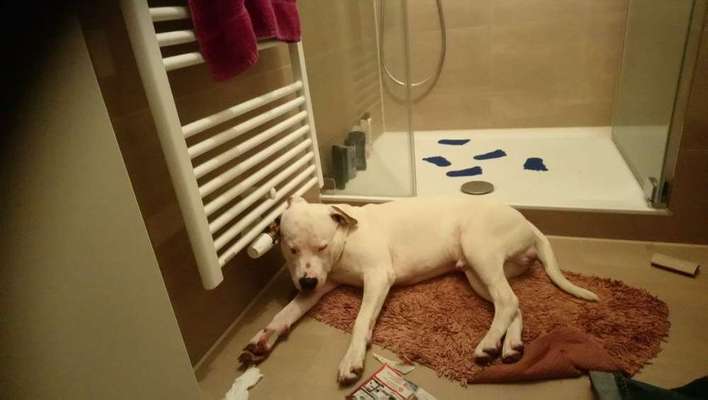 Schlafposition-Beitrag-Bild