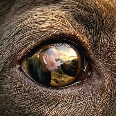 Micha's Profilbild