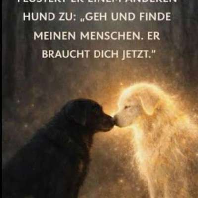 Wir haben dich zu früh gehen lassen-Beitrag-Bild
