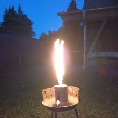 Was hat euch heute gefreut?-Beitrag-Bild