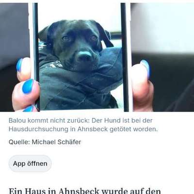 Was hat euch heute genervt?-Beitrag-Bild