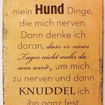 Was hat euch heute genervt?-Beitrag-Bild