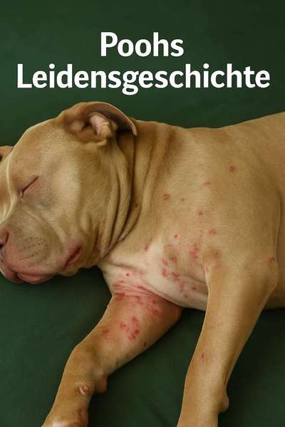 Wir möchten wissen,was mit Poohs Haut los ist?-Beitrag-Bild