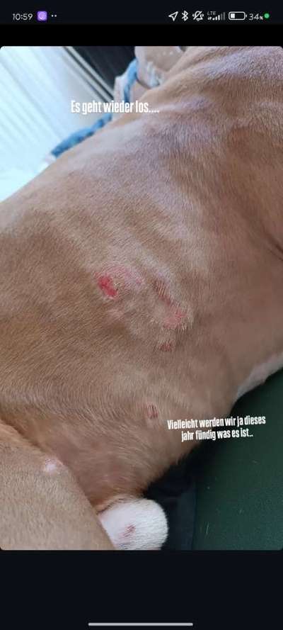 Wir möchten wissen,was mit Poohs Haut los ist?-Beitrag-Bild