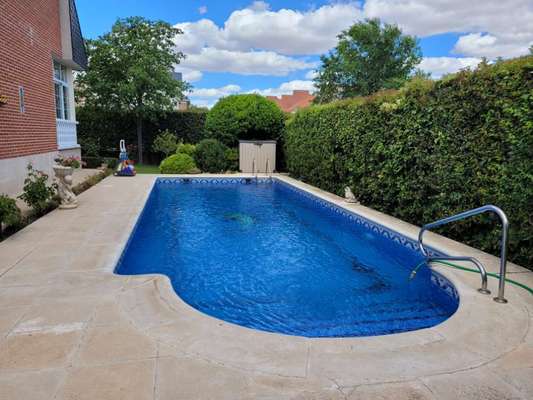 Rhodesian Ridgeback-Beitrag-Bild